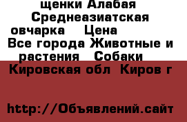 щенки Алабая (Среднеазиатская овчарка) › Цена ­ 15 000 - Все города Животные и растения » Собаки   . Кировская обл.,Киров г.